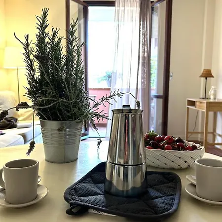 Agave Marina マルチャーナ・マリーナ